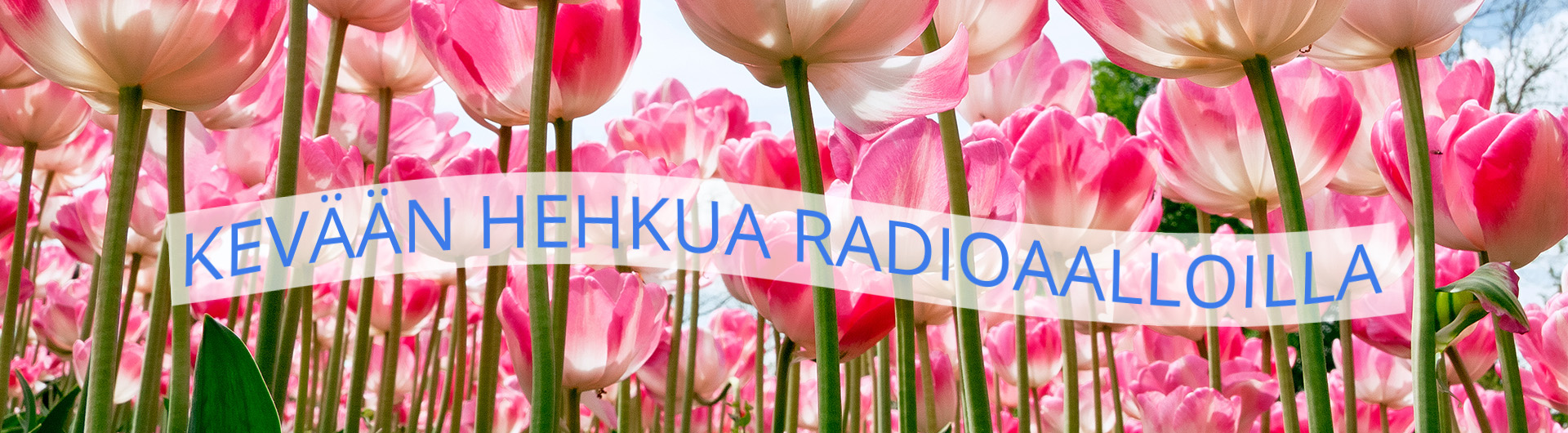 Miljoonaradio